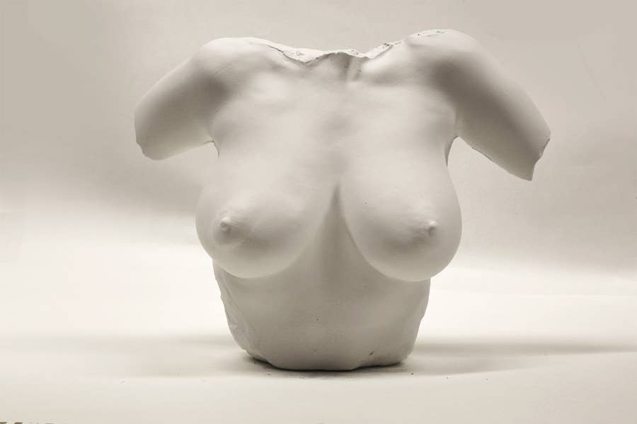 Venus Bust Sculpture - White