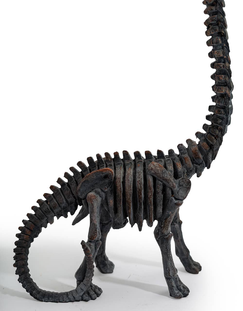 Brachiosaurus Dinosaurieskelett – Dekorativ Skulptur