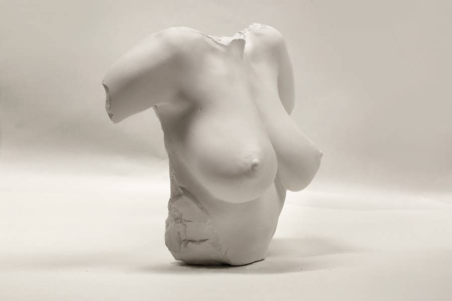 Venus Bust Sculpture - White