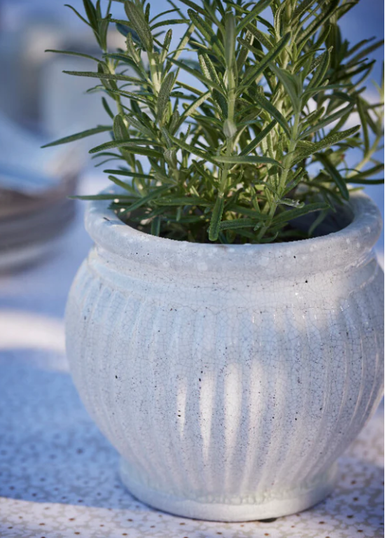 Small Pot - White