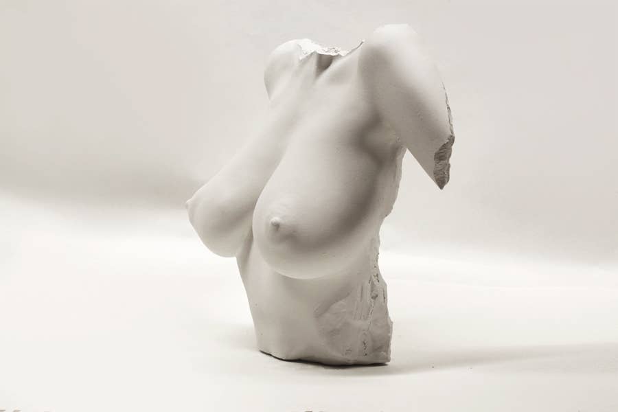 Venus Bust Sculpture - White