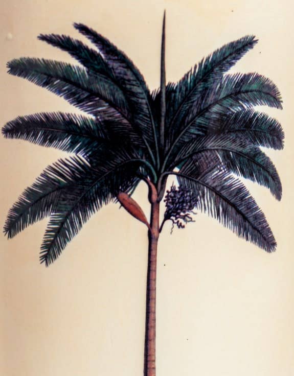 Paraplyställ i Keramik Med Palm och Heraldiskt Emblem