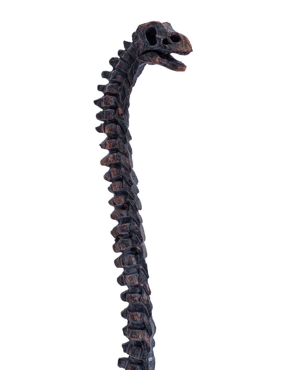 Brachiosaurus Dinosaurieskelett – Dekorativ Skulptur