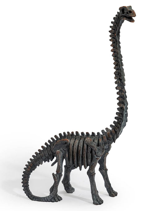 Brachiosaurus Dinosaurieskelett – Dekorativ Skulptur